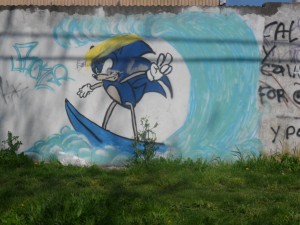 sonic costa atlántica